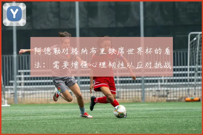 阿德勒对格纳布里缺席世界杯的看法：需要增强心理韧性以应对挑战