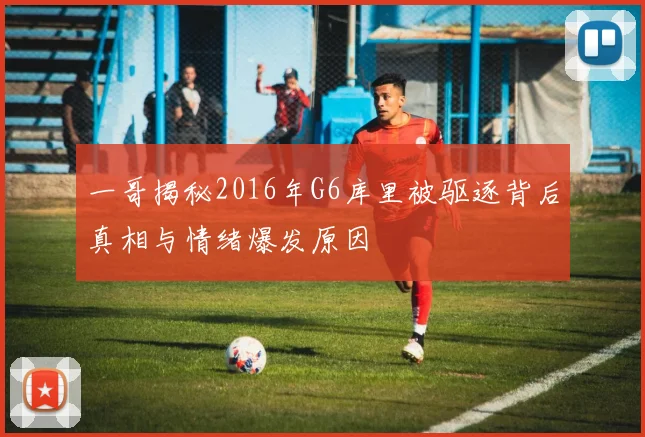 一哥揭秘2016年G6库里被驱逐背后真相与情绪爆发原因